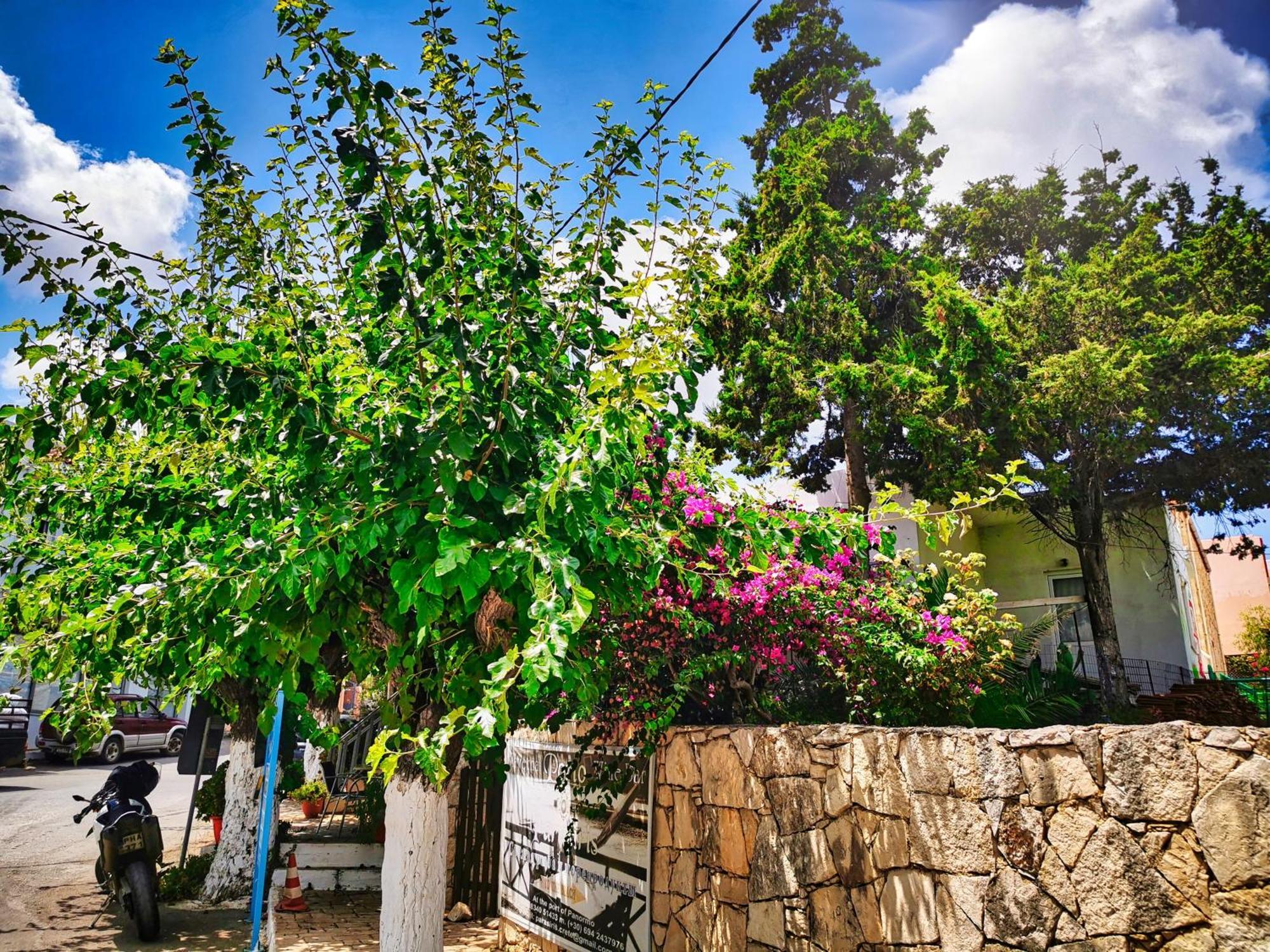 Ble Residence, Your Home Away From Home Panormos  Екстер'єр фото